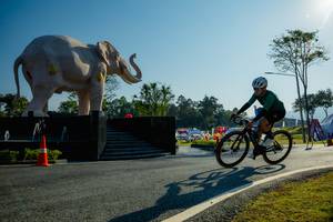 BIB: 
                            <button type="button" onclick="openModal(26182989)" class="btn btn-primary btn-sm float-right btn-popup" data-toggle="modal" data-target=".modal-high-quality">
                        <i class="fas fa-shopping-cart"></i> Add to Cart
                    </button>
                                            <button type="button" onclick="isThisMe(26182989, true)" class="btn btn-success btn-sm float-right btn-popup btn-isme hidden" data-toggle="tooltip" data-placement="bottom" title="นี่คือรูปของคุณใช่ไหม คลิกที่นี่เพื่อเอาเข้าอัลบั้ม">
                        <i class="fas fa-plus"></i> Add to album
                    </button>
                    <button type="button" onclick="isThisMe(26182989, false)" class="btn btn-warning btn-sm float-right btn-popup btn-isnotme hidden">
                        <i class="fas fa-ban"></i> Remove from album
                    </button>